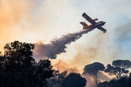 Canadair in action during the Castel Fusano Pinewood fire in 2017